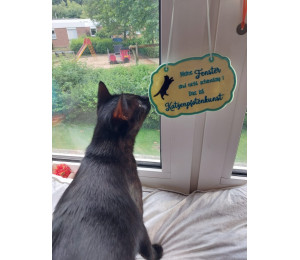 Stickserie - ITH Türschilder Katzen